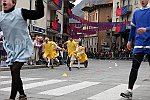 Gara delle Bighe 2011-7767